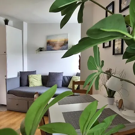 Bohaterow Monte Cassino * 索波特